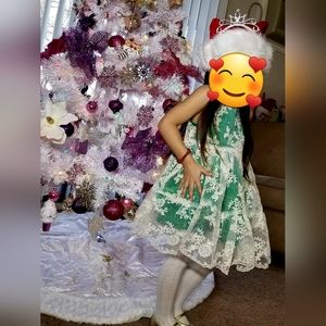 Beautiful Floral Embroidered Organza Green Dress -Perfect for photoshoot